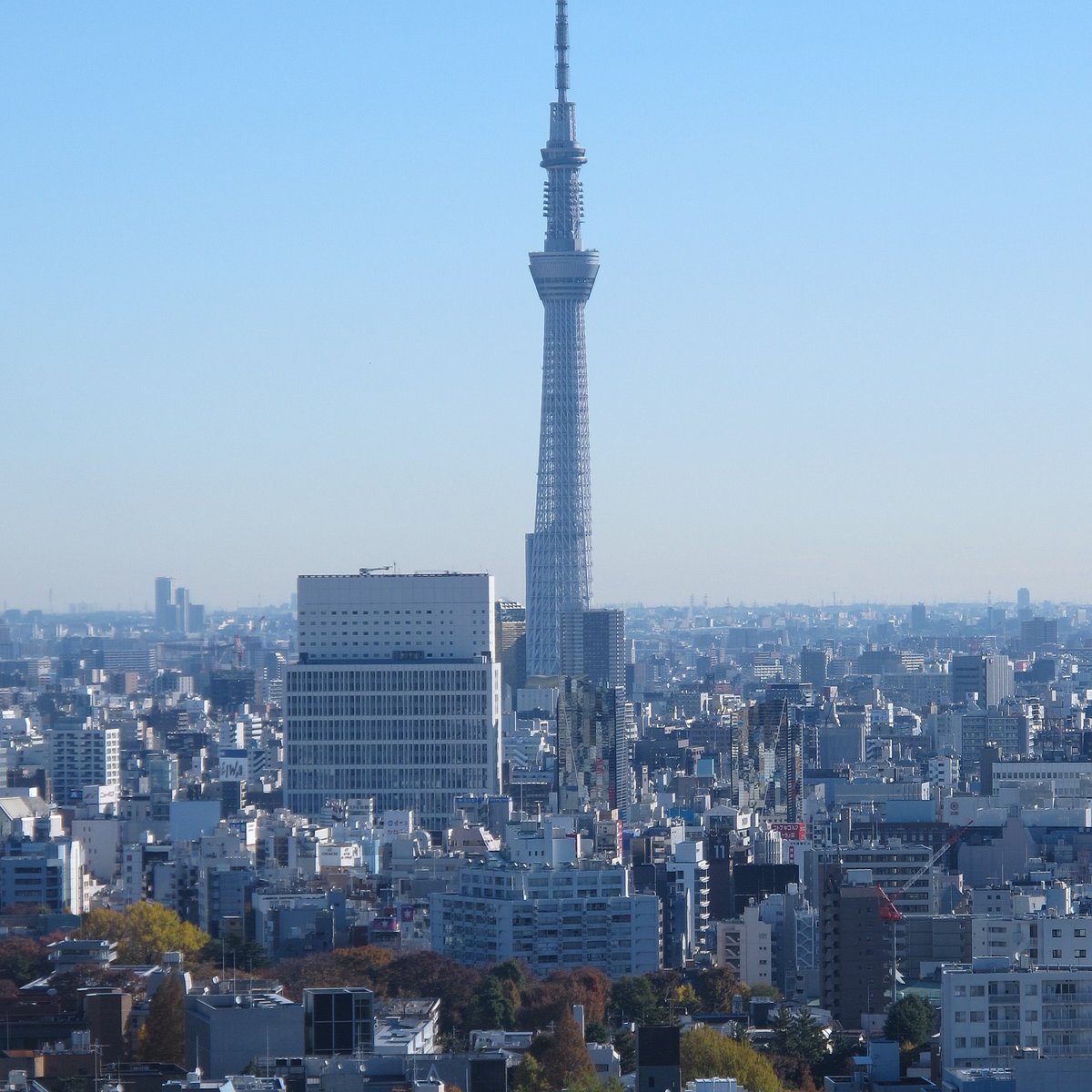 🗼 분쿄 시빅 센터 이미지 6